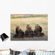 Three Grizzlies Sitting Wall Mural