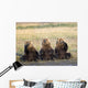 Three Grizzlies Sitting Wall Mural