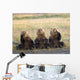 Three Grizzlies Sitting Wall Mural
