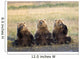 Three Grizzlies Sitting Wall Mural