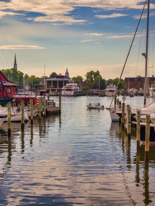 Sailing Annapolis Main Harbor Wall Decal