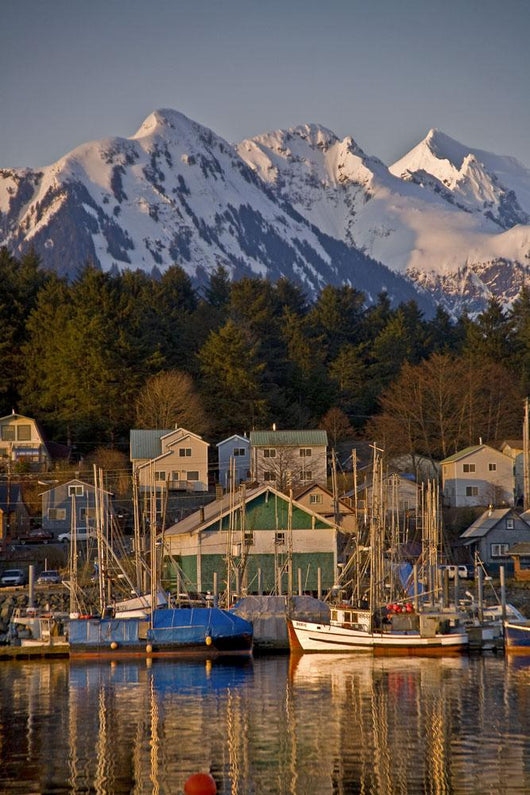 Downtown Sitka And And Small Boat Harbor With Arrowhead Peak Wall Mural