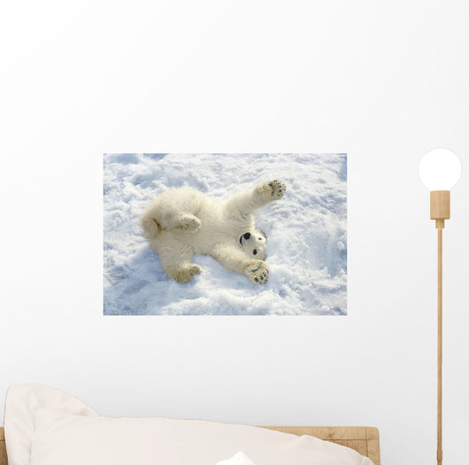 Polar Bear Cub Playing In Snow Alaska Zoo Wall Mural