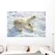 Polar Bear Cub Playing In Snow Alaska Zoo Wall Mural
