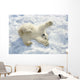 Polar Bear Cub Playing In Snow Alaska Zoo Wall Mural