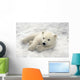 Polar Bear Cub Playing In Snow Alaska Zoo Wall Mural