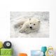 Polar Bear Cub Playing In Snow Alaska Zoo Wall Mural