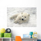 Polar Bear Cub Playing In Snow Alaska Zoo Wall Mural