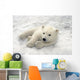 Polar Bear Cub Playing In Snow Alaska Zoo Wall Mural