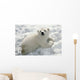 Polar Bear Cub Playing In Snow Alaska Zoo Wall Mural