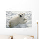 Polar Bear Cub Playing In Snow Alaska Zoo Wall Mural