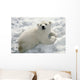 Polar Bear Cub Playing In Snow Alaska Zoo Wall Mural