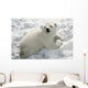 Polar Bear Cub Playing In Snow Alaska Zoo Wall Mural