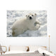 Polar Bear Cub Playing In Snow Alaska Zoo Wall Mural