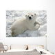 Polar Bear Cub Playing In Snow Alaska Zoo Wall Mural