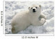 Polar Bear Cub Playing In Snow Alaska Zoo Wall Mural