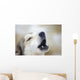 Portrait Of A Howling Sled Dog Winter We Alaska Wall Mural