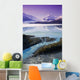 Aerial Of Knik & Colony Glacier Wall Mural