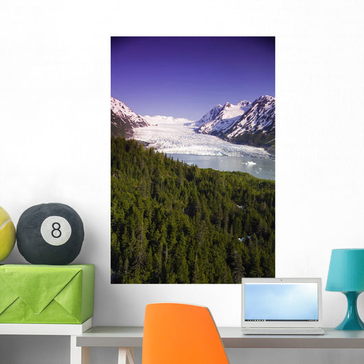 Aerial Of Spencer Glacier Wall Mural