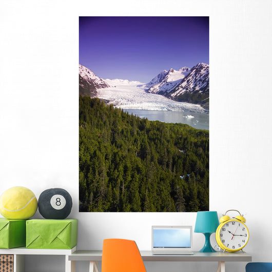 Aerial Of Spencer Glacier Wall Mural