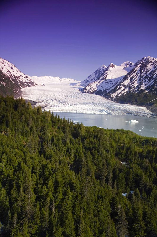 Aerial Of Spencer Glacier Wall Mural