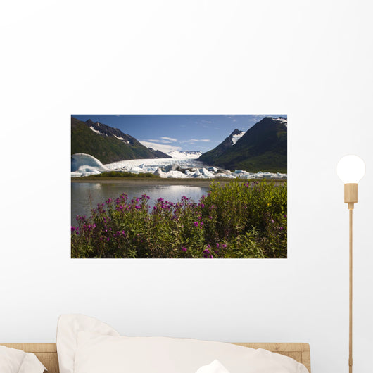 Scenic View Of Spencer Glacier Wall Mural