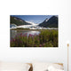 Scenic View Of Spencer Glacier Wall Mural