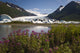 Scenic View Of Spencer Glacier Wall Mural