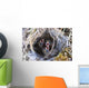 Closeup Of Lapland Longspur Chicks Wall Mural