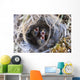 Closeup Of Lapland Longspur Chicks Wall Mural