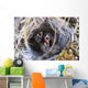 Closeup Of Lapland Longspur Chicks Wall Mural