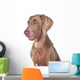 Weimaraner 03 Wall Mural