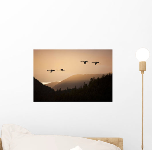 Composite Wall Mural