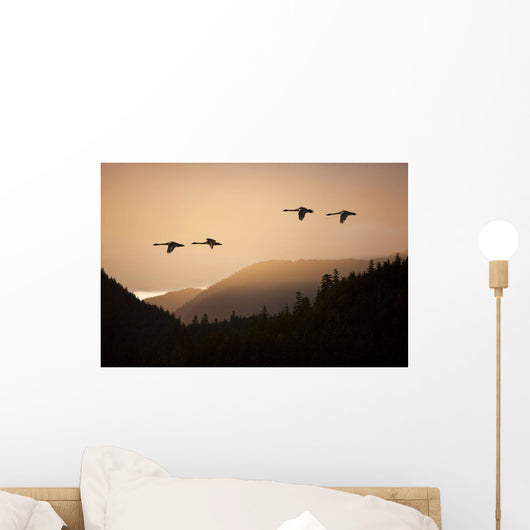 Composite Wall Mural