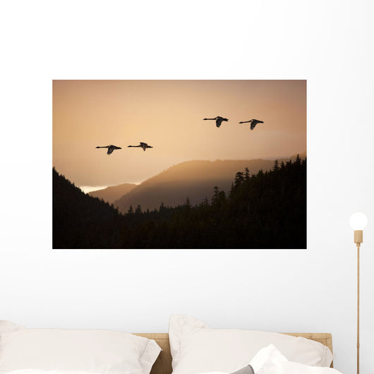 Composite Wall Mural