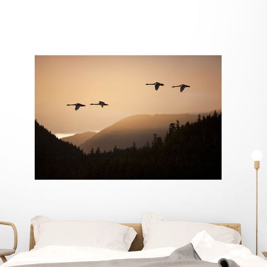 Composite Wall Mural