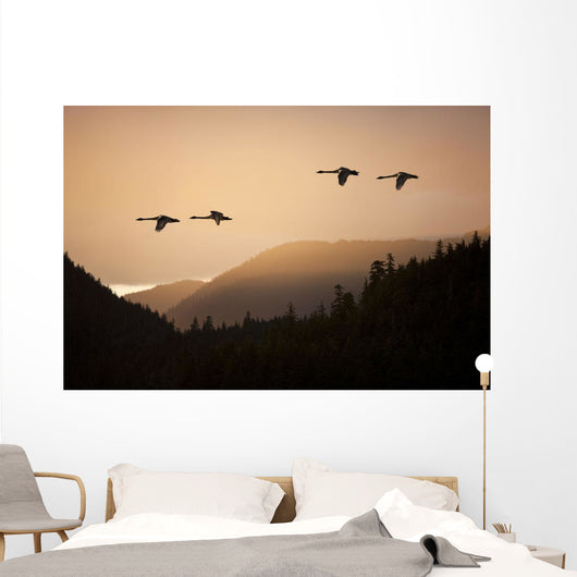 Composite Wall Mural
