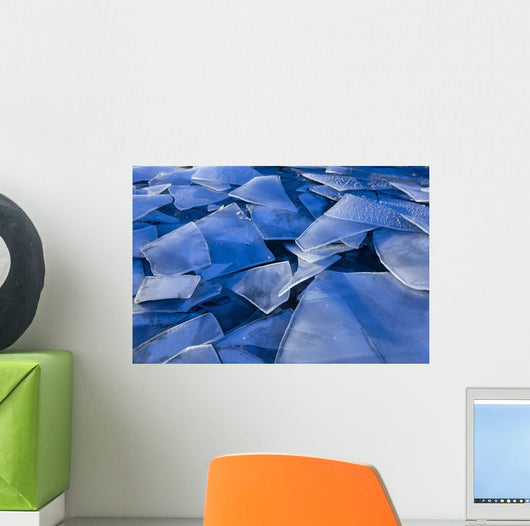 Fractured Surface Ice Drifted To The Shoreline Of Mendenhall Lake Wall Mural