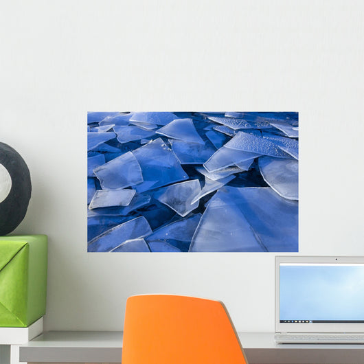 Fractured Surface Ice Drifted To The Shoreline Of Mendenhall Lake Wall Mural