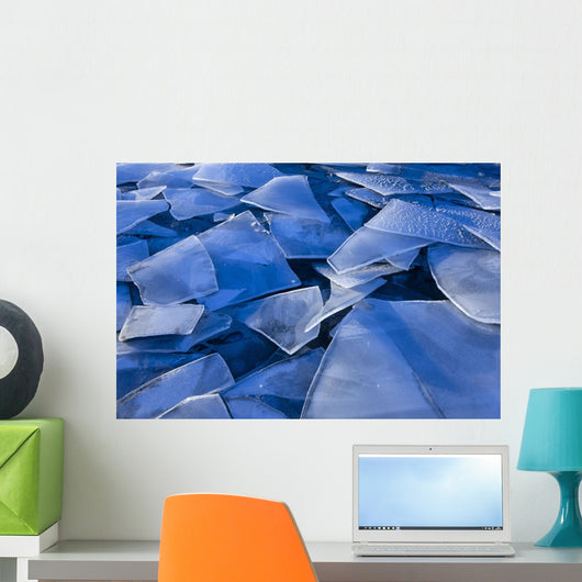 Fractured Surface Ice Drifted To The Shoreline Of Mendenhall Lake Wall Mural