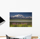 MtMckinley And The Alaska Range With Fireweed Flowers Wall Mural