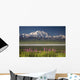 MtMckinley And The Alaska Range With Fireweed Flowers Wall Mural