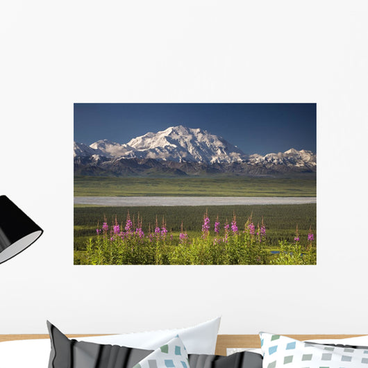 MtMckinley And The Alaska Range With Fireweed Flowers Wall Mural