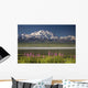 MtMckinley And The Alaska Range With Fireweed Flowers Wall Mural