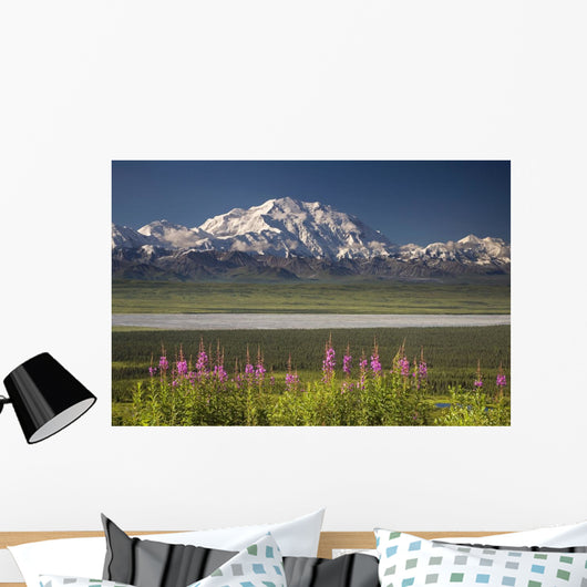 MtMckinley And The Alaska Range With Fireweed Flowers Wall Mural