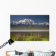 MtMckinley And The Alaska Range With Fireweed Flowers Wall Mural