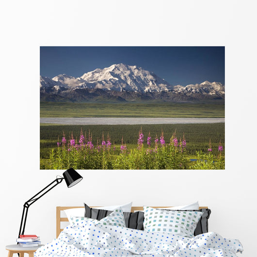 MtMckinley And The Alaska Range With Fireweed Flowers Wall Mural