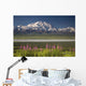 MtMckinley And The Alaska Range With Fireweed Flowers Wall Mural