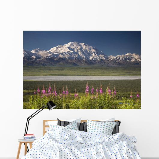 MtMckinley And The Alaska Range With Fireweed Flowers Wall Mural