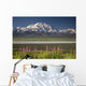 MtMckinley And The Alaska Range With Fireweed Flowers Wall Mural